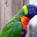 blog 7