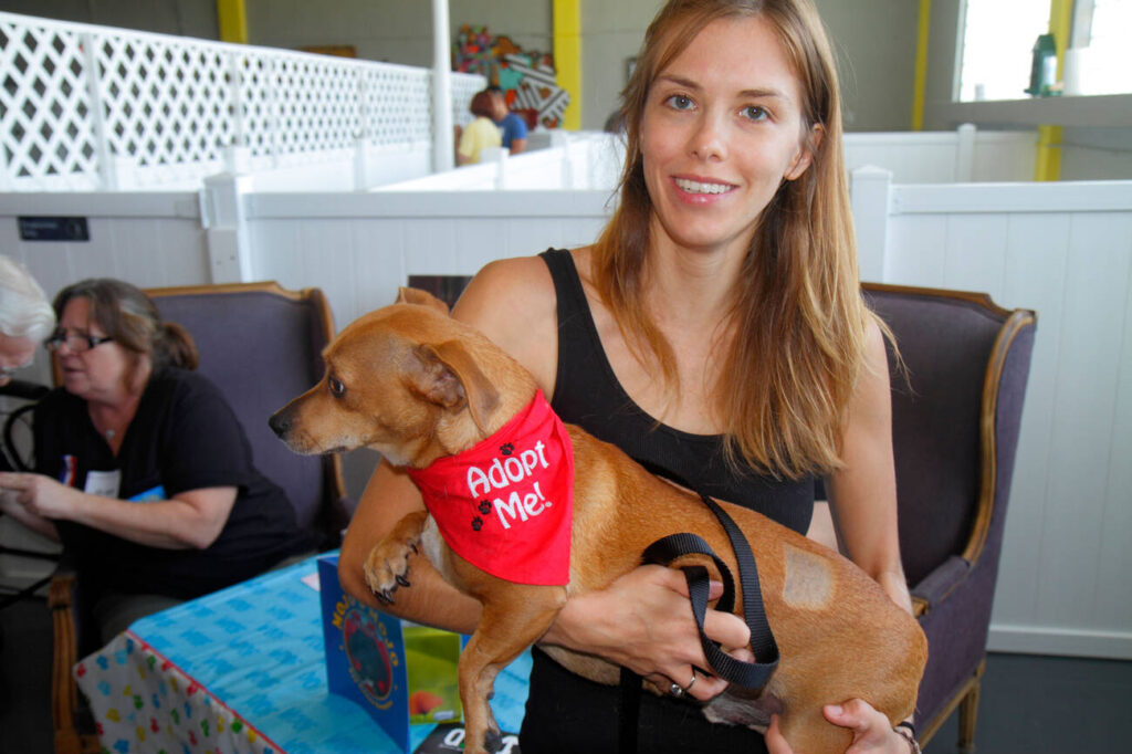 How to Adopt a Pet: A Step-by-Step Guide to Finding Your New Best Friend 2 dl.beatsnoop.com YX4lPVOoEj
