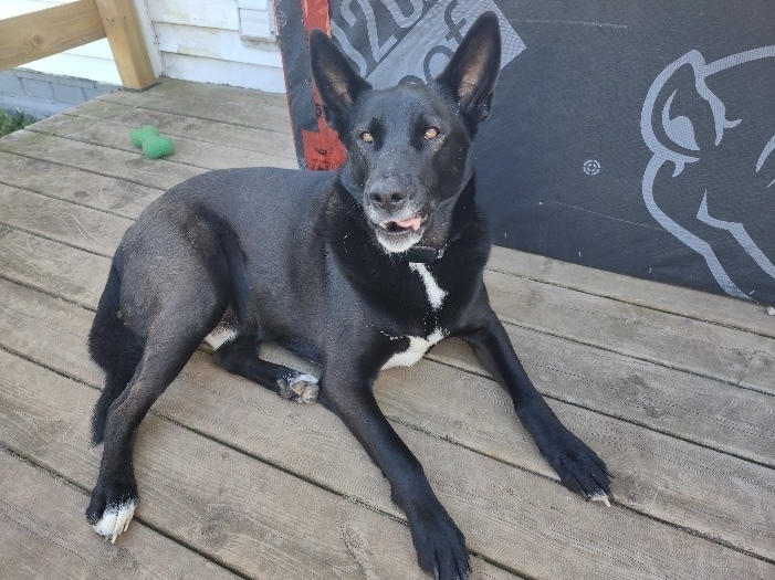 MAX